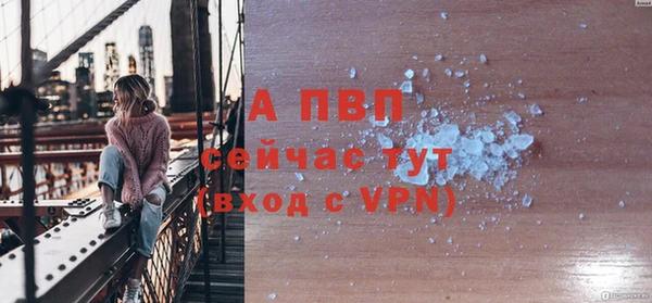 прущие грибы Беломорск